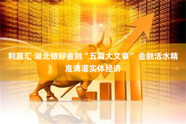 利赢汇 湖北做好金融“五篇大文章” 金融活水精准滴灌实体经济