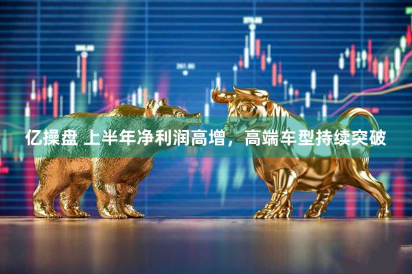 亿操盘 上半年净利润高增，高端车型持续突破