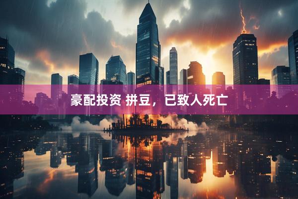 豪配投资 拼豆，已致人死亡