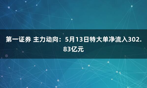 第一证券 主力动向：5月13日特大单净流入302.83亿元